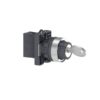 Schneider, Easyline XA2 Plastic Selector Switch 2 position, NO Standard, Key Released
